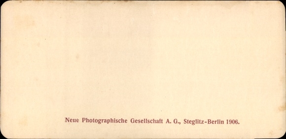 Stereofoto Boedapest Hongarije, 1906, In de Poesta, koeien