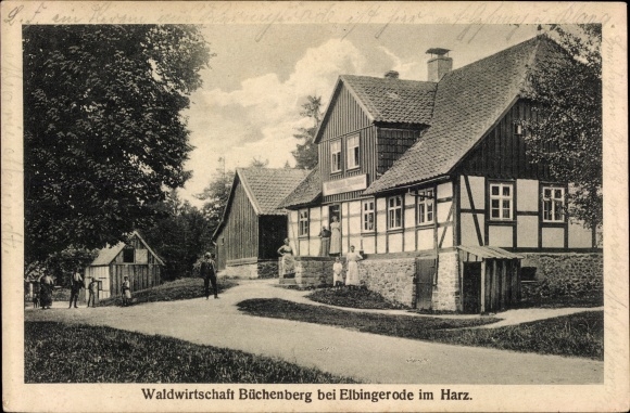 Postcard Elbingerode Oberharz am Brocken, forestry Büchenberg