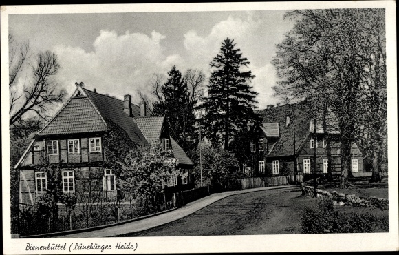 Ak Bienenbüttel in der Lüneburger Heide, Straßenpartie, Häuser mit Gärten