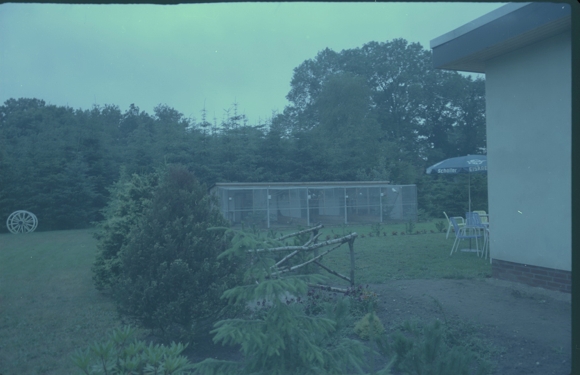 6 celluloid negatives Krempel Geestland in Lower Saxony, garden, shop, gastronomy