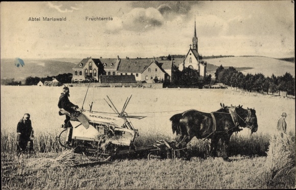 PC Heimbach in the Eifel, Mariawald Abbey, fruit harvest