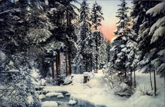 KP Gstaad Saanen Kanton Berno, Turbachtal