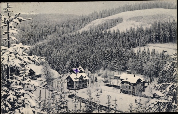 Ak Bärenburg Altenberg im Erzgebirge, Schneelandschaft, Hotel Schäfermühle