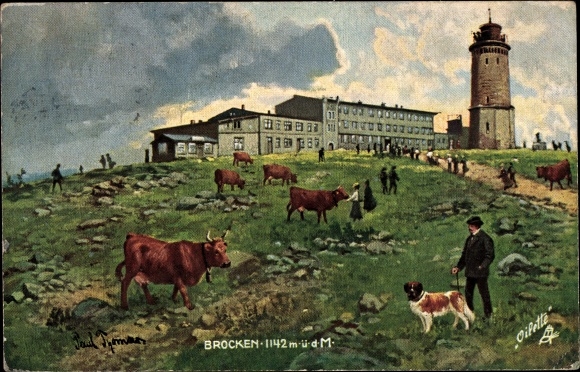 Artist PC Thomas, Paul, Brocken National Park Harz, observation tower, accommodation, cows, dog