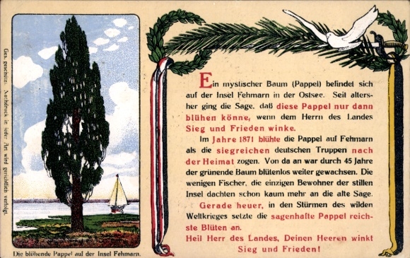 Artist Postcard Insel Fehmarn Ostholstein, The flowering poplar, pigeon, sage