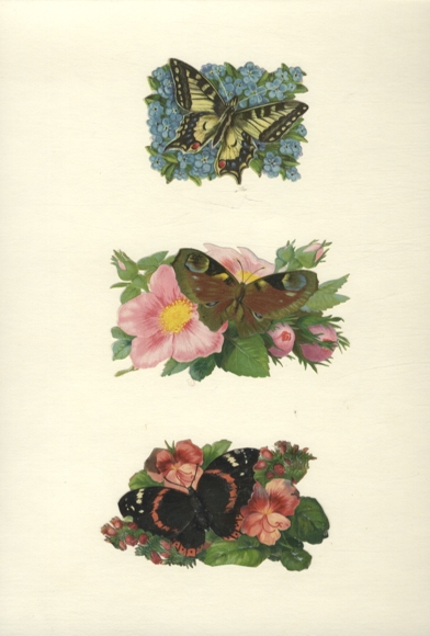 3 Oblaten bunte Schmetterling auf Blüten, je ca. 6 x 11 cm und 6 x 8 cm