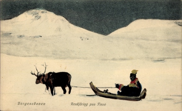 Ak Norwegen, Bergensbanen, Renkjöring paa Finse, Rentierschlitten