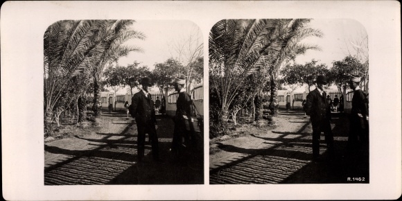 Stereo photo Matarije Matorieh Heliopolis Cairo Cairo Egypt, ostrich farm