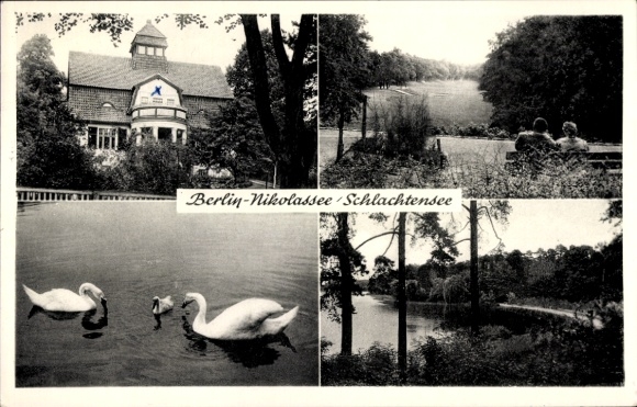 Postcard Berlin Zehlendorf Nikolassee, Schlachtensee, swans, bank