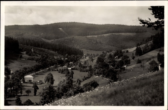Ak Zwota Zechenbach Klingenthal in Vogtland Sachsen, Panorama vanaf de plaats, bospodium