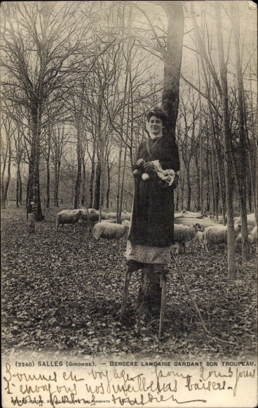 Postcard Salles Gironde, woman in dress, sheep, tree, nature, rural scene