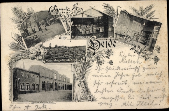 Postcard Heide in Holstein, market garden, agricultural. School, orchard, experimental field, vegetation house