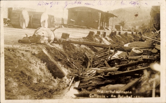 foto Ak Bad Gottleuba in Saksen, watersnoodramp 1927, op het station, dode koe