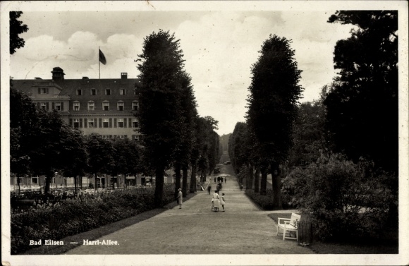Postcard Bad Eilsen in the district of Schaumburg, view of Harrl Allee