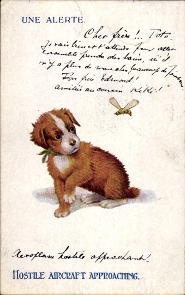 Postcard Brown Dog and Bee