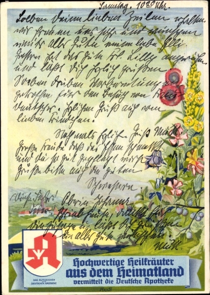 Artist Postcard medicinal herbs, German pharmacy advertising, medicinal herbs, flowers, panorama of a place