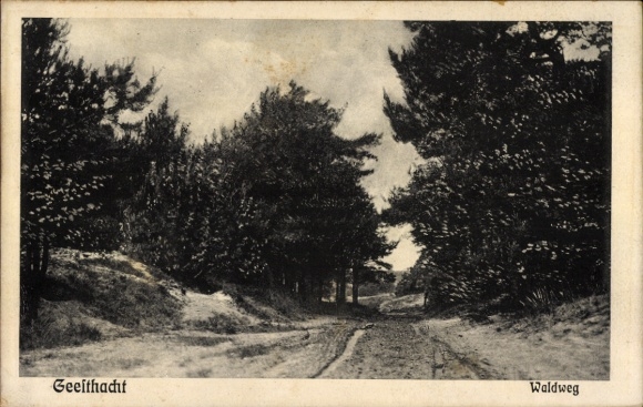 Postcard Geesthacht on the Elbe, forest path