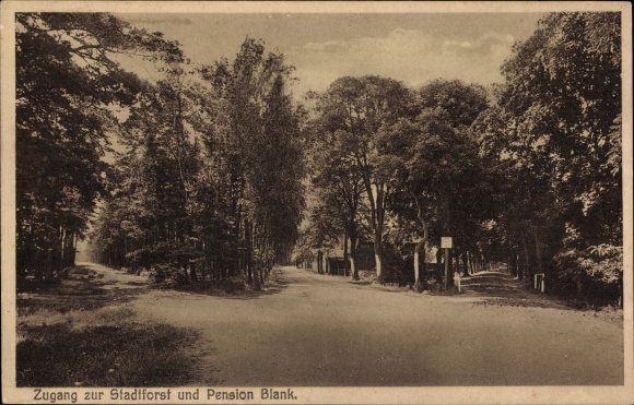 Postcard Dahme in the Mark, access to the city forest and Pension Blank