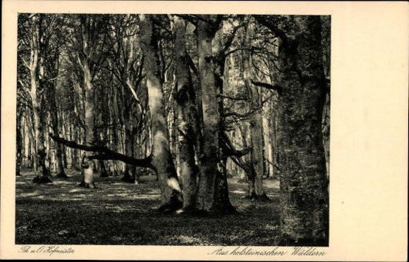 10 old PCs Holm in Holstein, in the Holm, various views