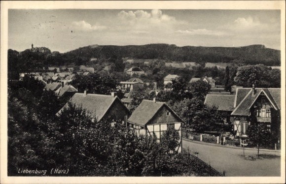 Postcard Liebenburg b. Braunlage Harz, villas