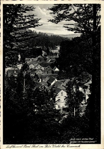 Postcard Thal Ruhla Wartburgkreis, view through the trees to the village