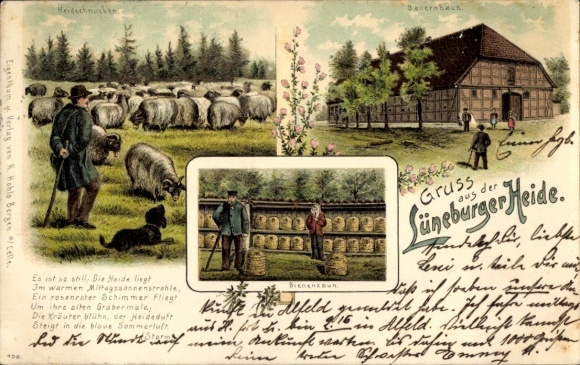 Litho Lüneburger Heide, Heidschnucken, Bauernhaus, Bienenzaun, Imker