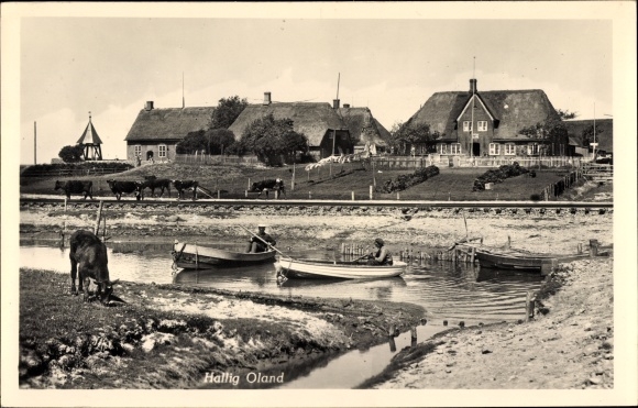 Ak Hallig Oland Nordfriesland, gedeeltelijk zicht op het dorp, boten, koe