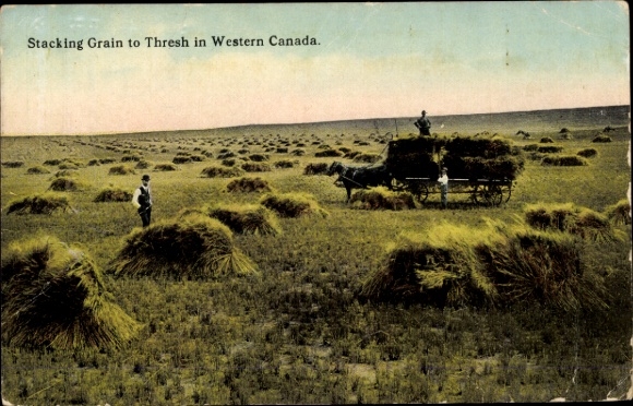 KP Western Canada, układanie zboża do omłotu