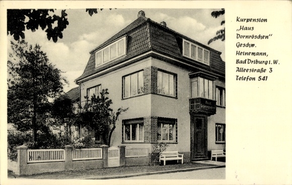Postcard Bad Driburg, Pension Haus Dornröschen, Alleestraße 3, W Heinemann