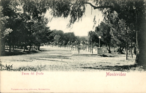 Ak Montevideo Uruguay, Paseo del Prado, Parklandschaft, Bäume, Weg, Montevideo