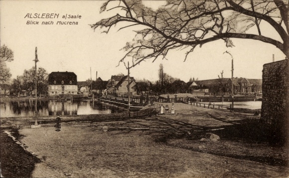 Ak Alsleben aan de Saale, waterlandschap, huizen, bomen, uitzicht op Mucrena