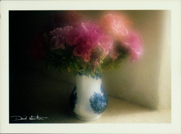 Postcard photographer David Hamilton, bouquets, flowers, vase