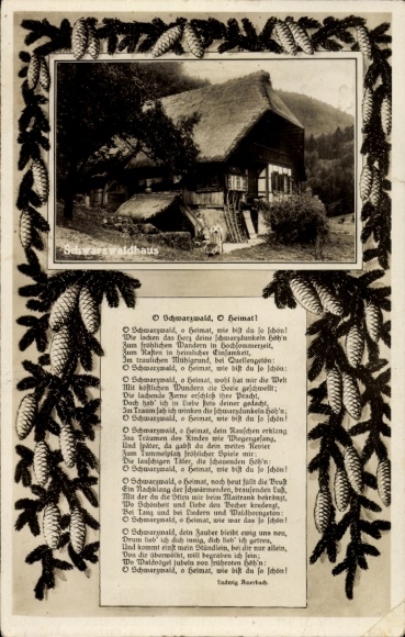 KP Dom w Schwarzwaldzie, wiersz L. Auerbacha, szyszki sosnowe
