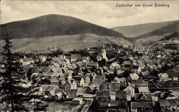 Ak Lautenthal Langelsheim im Oberharz, Gesamtansicht, Kleiner Bromberg