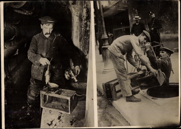 Foto Monsieur Menard, Rattenfänger von Paris, Kanalisation