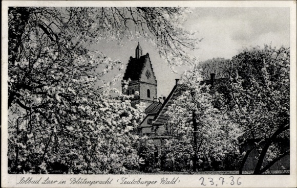 Ak Bad Laer am Teutoburger Wald, Lolbad Laer, Blütenpracht, Teutoburger Wald, 1936