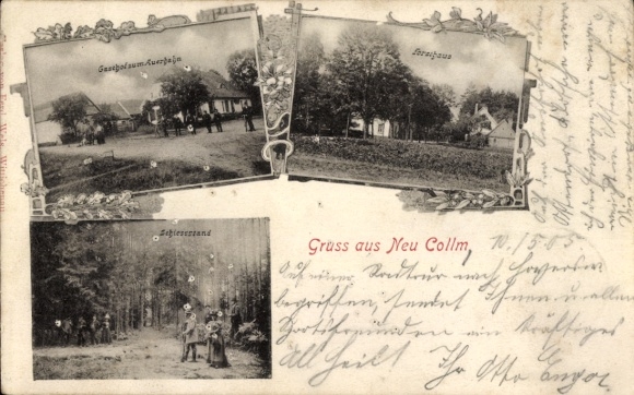 Passepartout Ak Collm Wermsdorf in Sachsen, Gasthaus zum Auerhahn, Waldidyll