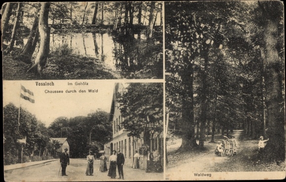 Ak Vossloch Bokholt Hanredder in Holstein, weg door het bos, in het bos, bospad