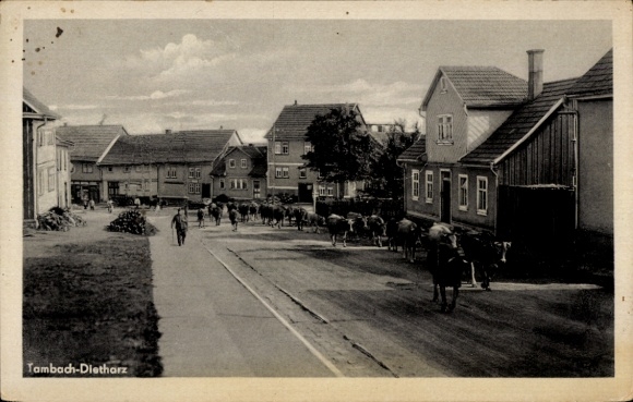Postcard Tambach Dietharz in Thuringia, cattle drive through the village