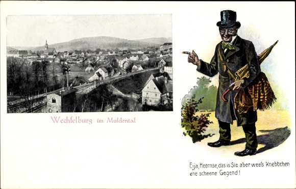 Passepartout Ak Wechselburg in Sachsen, Panorama, Fritze Bliemchen