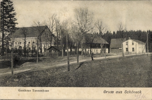 Ak Schöneck im Vogtland, Gasthaus Tannenhaus, Straße, Bäume, historische Gebäude