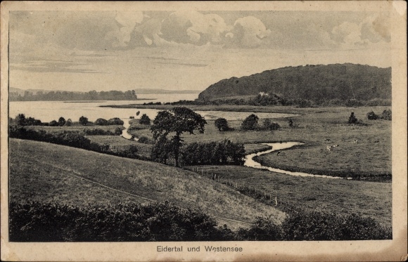Ak Westensee in Schleswig Holstein, Eidertal, Panorama