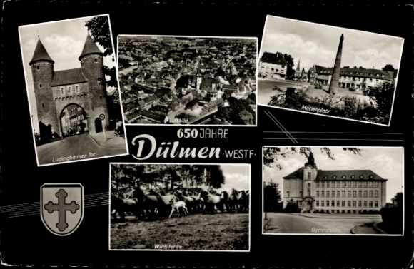 KP Dülmen w Münsterland Westfalia, Brama Lüdinghauser, 650 lat Marienplatz, dzikie konie, gimnastyka...