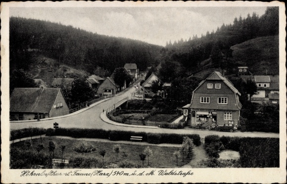 Postcard fir Oberharz am Brocken, Waldstrasse