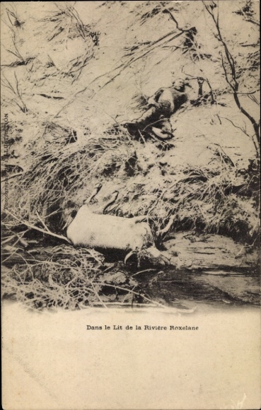 Ak Martinique, Dans le Lit de la Riviere Roxelane
