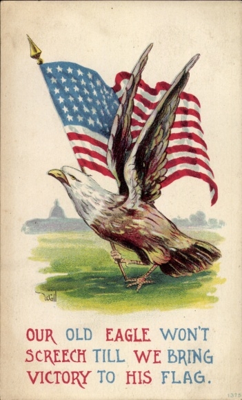 Artist Postcard Bernhardt Wall, Eagle with Flag, USA, 1st World War