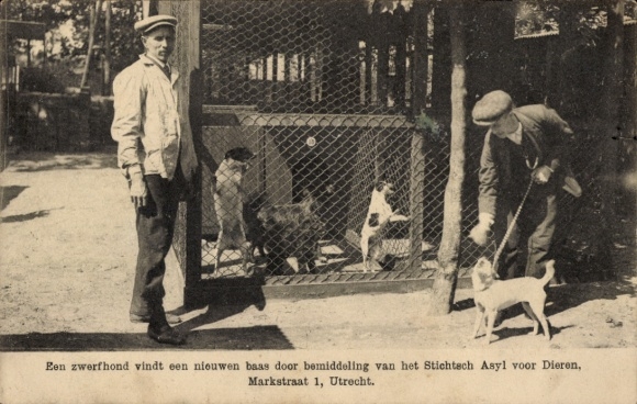 Ak Utrecht Niederlande, Stiftung Asyl für Tiere, Markstraat 1, streunender Hund, neuer Besitzer