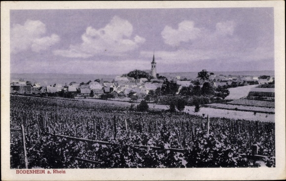 Postcard Bodenheim in Rheinhessen, total view