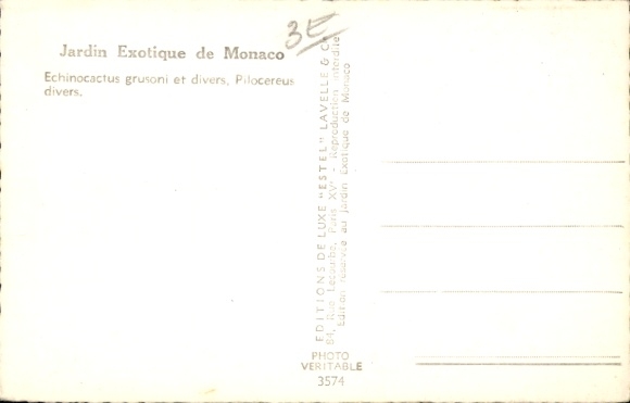 CPA Monaco, Jardin Exotique, Echinocactus grusoni et diverse