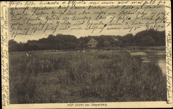 Postcard Steyerberg Lower Saxony, Hof Dunk